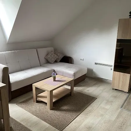 Apartament Kraljevi Konaci -apartmani Bajka Kopaonik