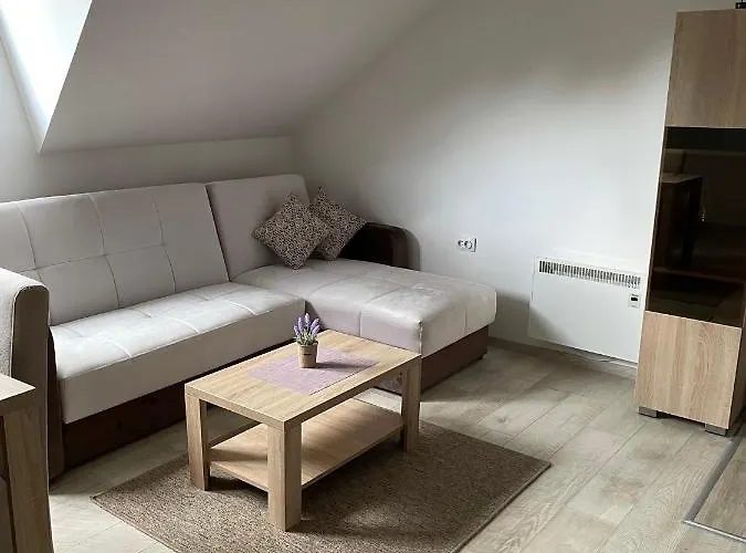 公寓 Kraljevi Konaci -apartmani Bajka 科帕奥尼克